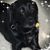 Lisa Flanagan's profile image