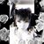 Alexis Zewe's profile image