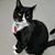 Cheryl Cottle's profile image