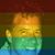David Shaw's profile image