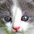 Tane' Wiseman's profile image
