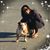 Chrissy Antobenedetto Ryan's profile image