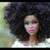 Didine Lafl's profile image