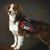 Mitzie Kennedy's profile image