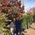 Stephanie Brown Lovesee's profile image