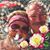 Maria Schrupp Huhn's profile image