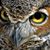 Harry Behret's profile image