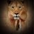Shamekia Cherry's profile image