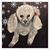Tania Contreras's profile image