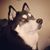 Kevin Parsons's profile image