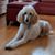 Charlene England's profile image