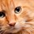 MaxiCat Turnbull's profile image