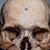 Payton Smith's profile image