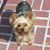 Sharon Grubaugh's profile image