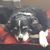Elizabeth Gunn's profile image