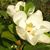 Jennifer Stepler's profile image