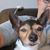 Vicki Pennington's profile image