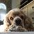Doreen Chilton's profile image
