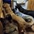 Lori Trauner Raef's profile image