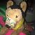 Melissa Marie Labriola's profile image