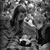 Christine McAlister Lewis's profile image