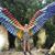 Shanon Taylor's profile image