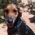 Nigel McKie's profile image