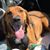 Chuck Williams's profile image