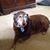 Jennifer Jetton's profile image