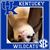 Myra Kelley Cheak's profile image