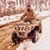 Rocky Sharma's profile image