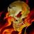 Beco Sanchez Soto's profile image