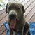 David Guindi's profile image