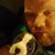 Dannie Lohrmeyer's profile image