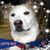 Lidia Porch's profile image
