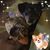Donna Parker Owens's profile image