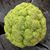 Peter Lask's profile image
