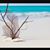 Liliana Maria Aviles's profile image