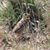 Justina Opdycke's profile image