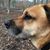 Frank Glada Yerkes's profile image