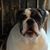 'Sharon Dunkerson's profile image