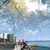 Ninh Ninh's profile image