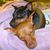 Chyressa Marie's profile image