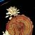 Joyce Marie Spurgeon Smith's profile image