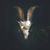 Alfredo Garay's profile image