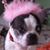Heather Lynn's profile image