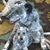 Karen Townsend's profile image