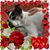 Melissa Miller-Ringer's profile image