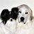 Rhonda Dalton's profile image