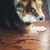 Lisa Rossi Maynard's profile image